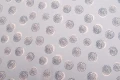81B_1200.jpg