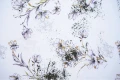 DSC03778.JPG
