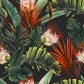 2300367 - 49_AdobeStock_332176946.jpg