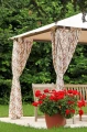 patio-20.jpg