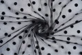 DSC04487.jpg