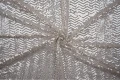 DSC05742.jpg