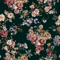 2402676 - colourama.jpg