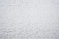 DSC09801.JPG