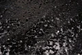 DSC04137.JPG