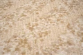 DSC04123.JPG